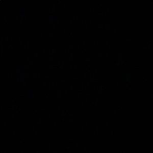 Meet your Posher, Jr